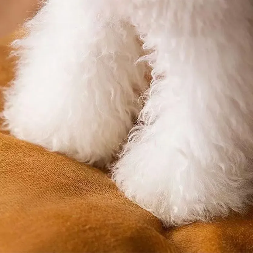 Pat and Pet Emporium | Pet Beds | Soft Foldable Pet Bed House