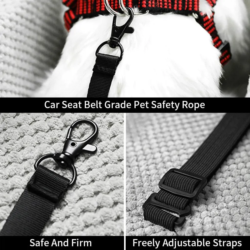 Pat and Pet Emporium | Pet Carriers | Small Pet Safety Seat