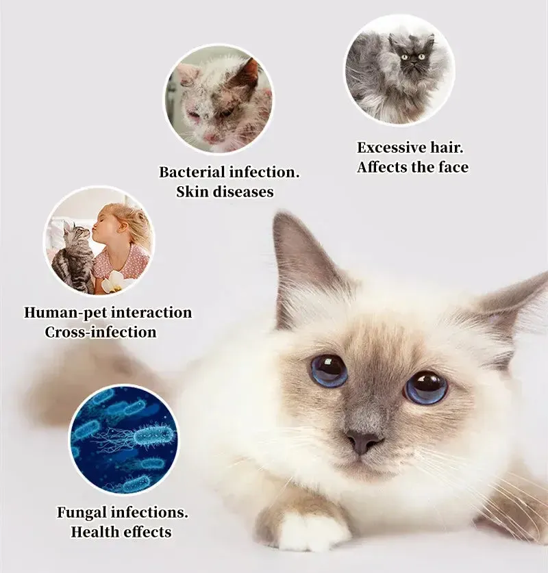 Pet Hair Sterilization and Removal Brush