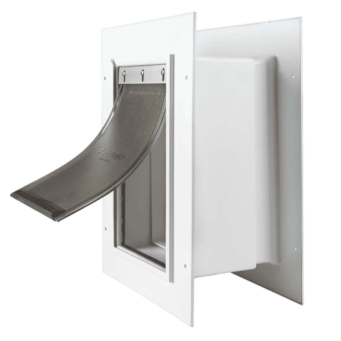 PetSafe Wall Entry Pet Door
