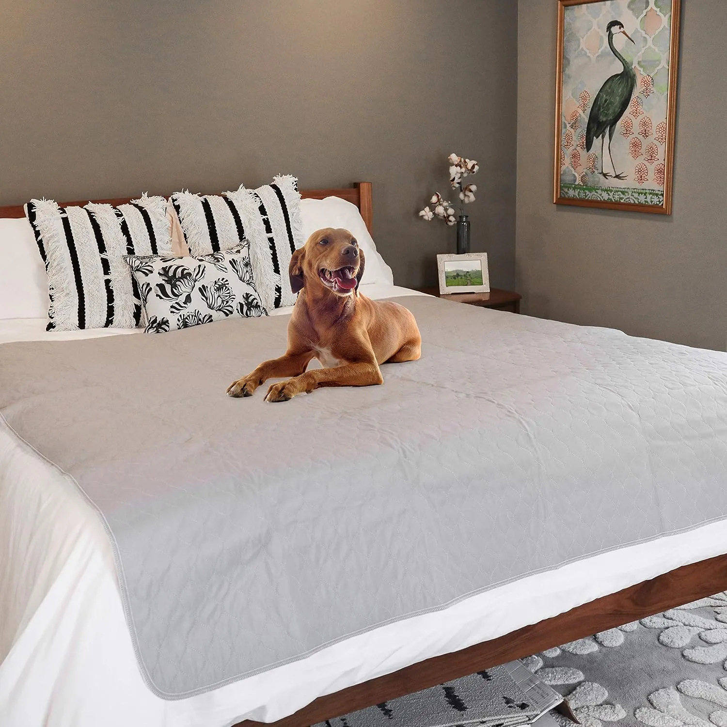 rocket & rex Premium XXL Non-Slip Washable Pee Pad for Dogs, Waterproof & Reusable Puppy Pad for Potty Training, Whelping, Travel, Lining Playpens & More, 72" x 72" (Pack of 1)