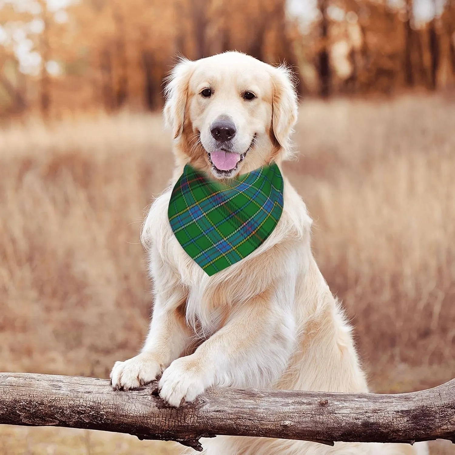 Scots Style Tartan Plaid Teal Dog Bandana Scarf Triangle Bibs Pet Accessories Cat Kerchief