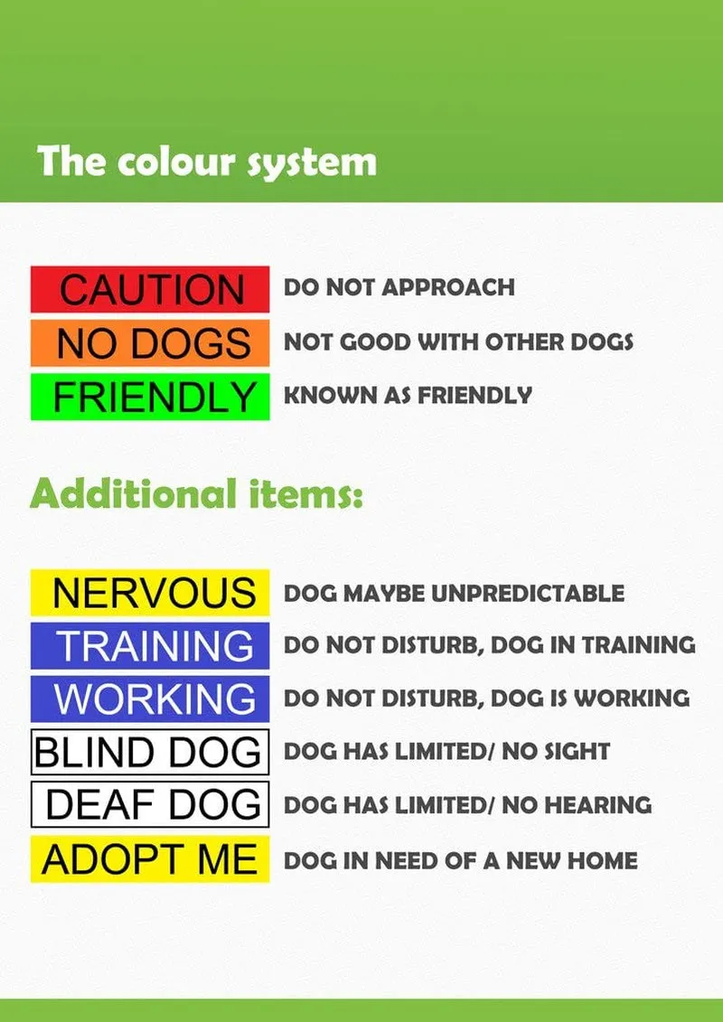 Service Dog Blue Dog Collar