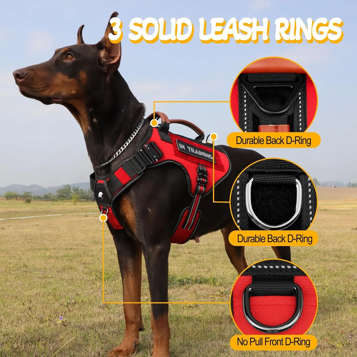 Service Dog Vest - HEYCAHVA Tactical Dog Harness Full Metal Buckles for Large Medium Dogs Reflective No Pull Dog Harnesses Vest with Leather Handle, Hook & Loop for Hiking Training (Red, XL)