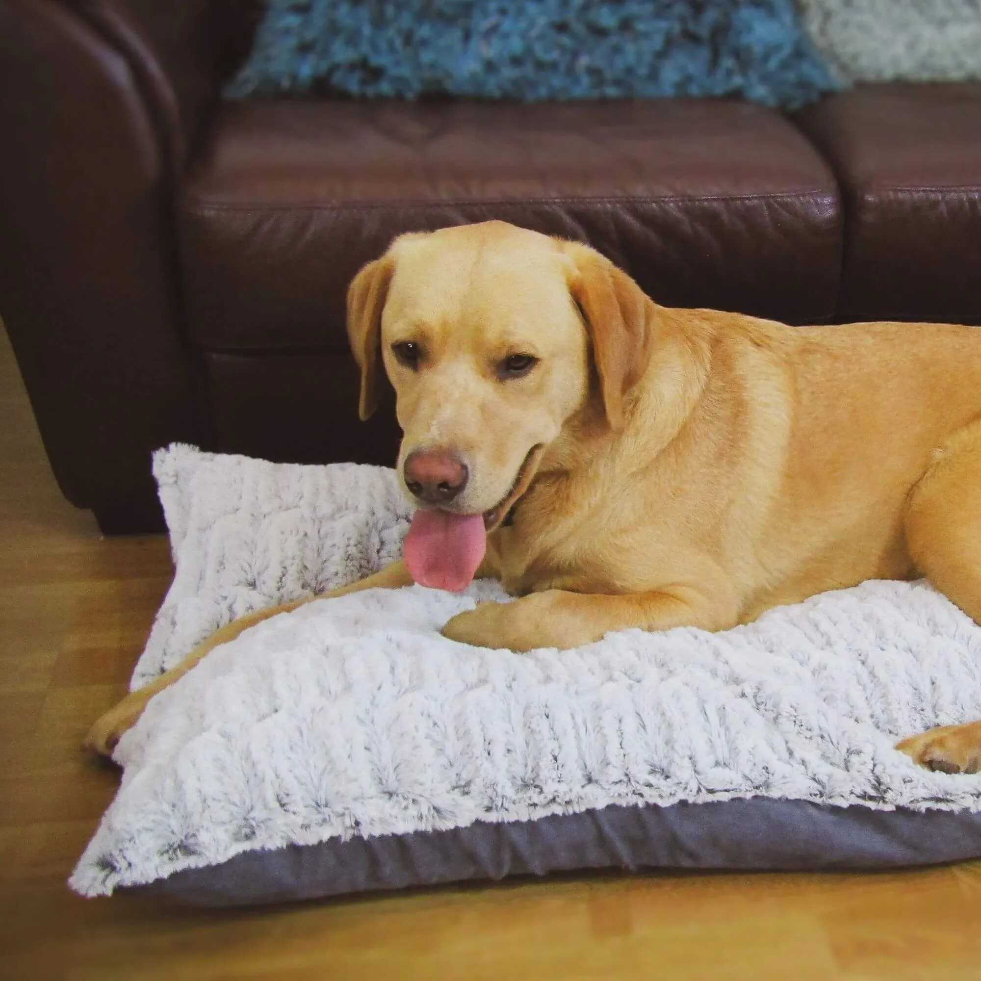 Snug & Cosy Novara Lounger Dog Bed
