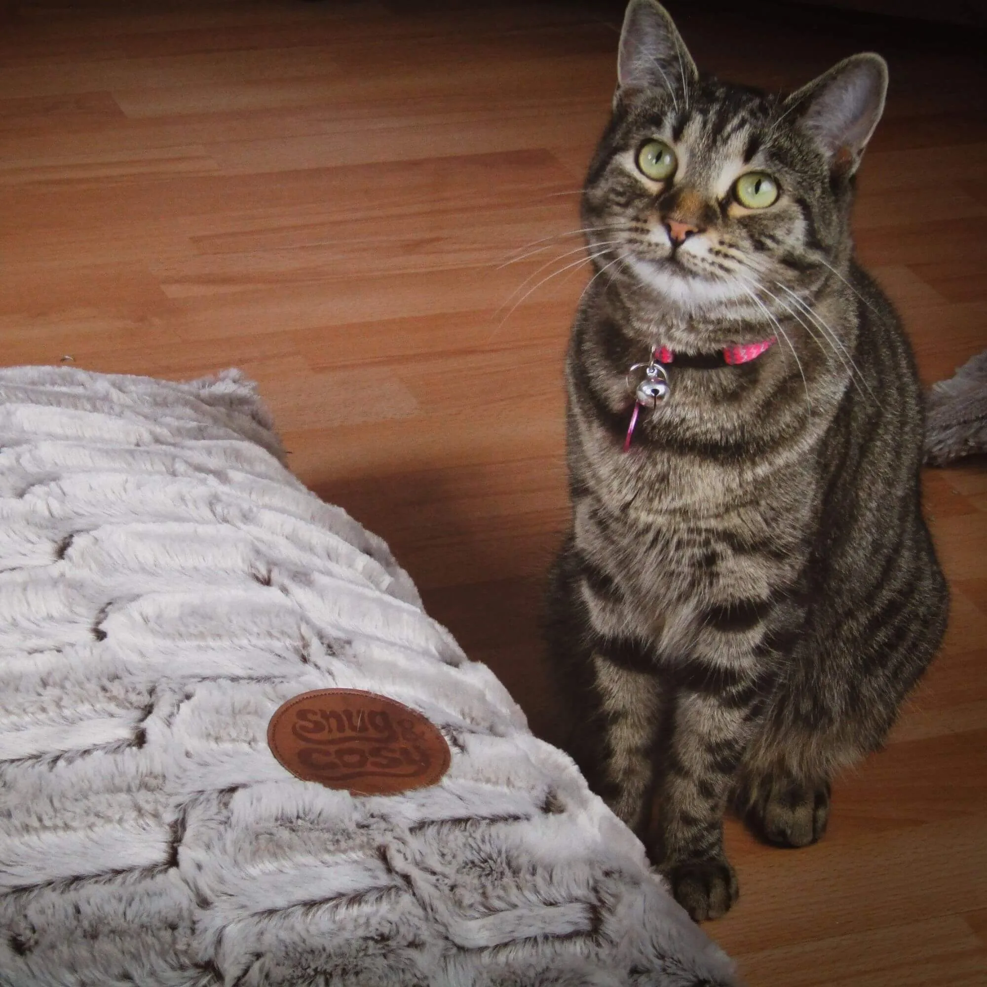 Snug & Cosy Novara Lounger Dog Bed