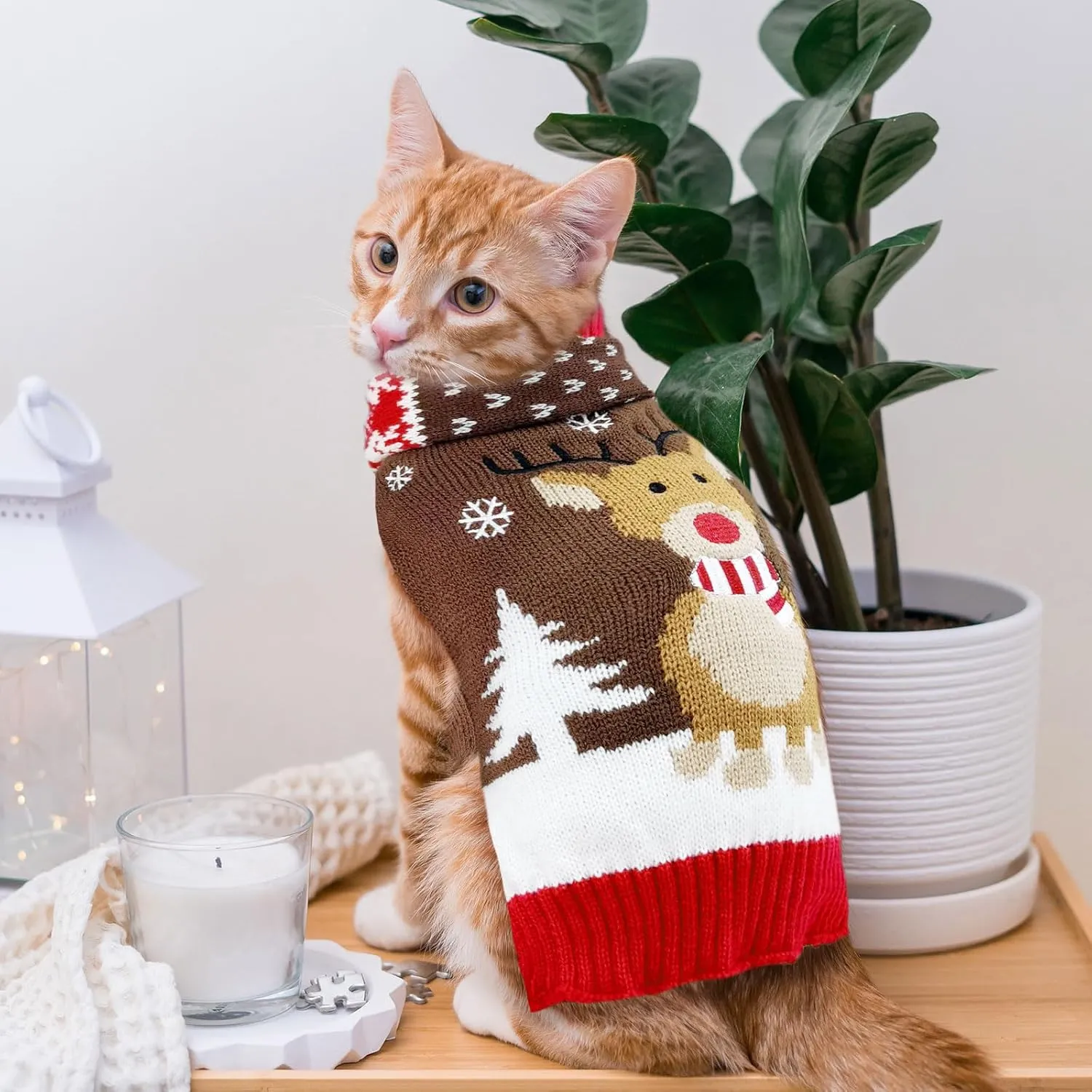 Ugly Christmas Dog Sweaters Set for Small Medium Dogs Knitted Reindeer Pet Clothes Jumpers with Scarf Xmas Dog Accessories Apparel,M