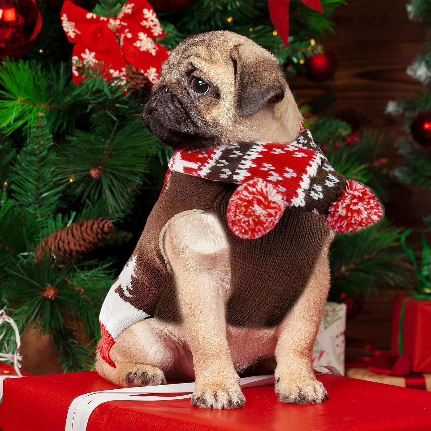 Ugly Christmas Dog Sweaters Set for Small Medium Dogs Knitted Reindeer Pet Clothes Jumpers with Scarf Xmas Dog Accessories Apparel,M