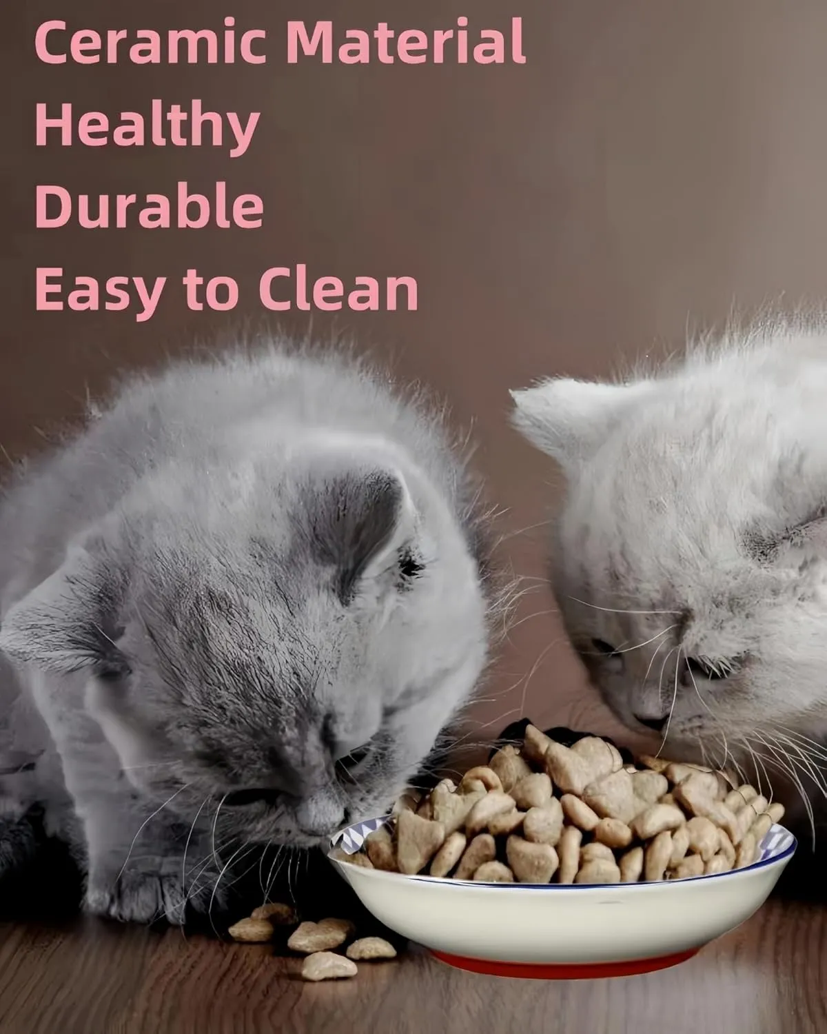 Whisker Fatigue Cat Bowl  5.5 in Ceramic Cats Food Bowl, Shallow Cat Food Dish, Cute Flat Pet Bowl, Small Wide Plates for Indoor Cats with Silicone Bottom, Non-Slip and Quiet